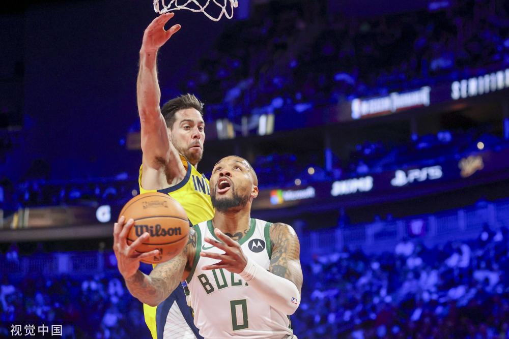 斑马王子 斑马王子